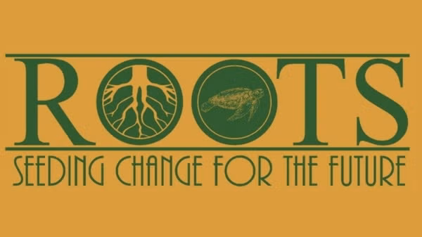 Preparing Leaders for Liberia and Beyond roots